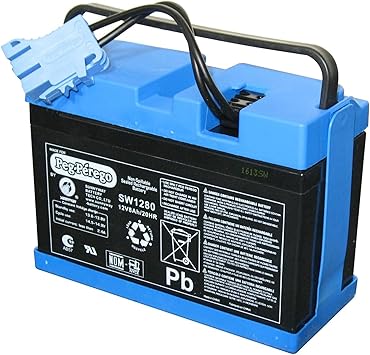 Peg Perego – Batería de 12 V 12 V, 8 Ah